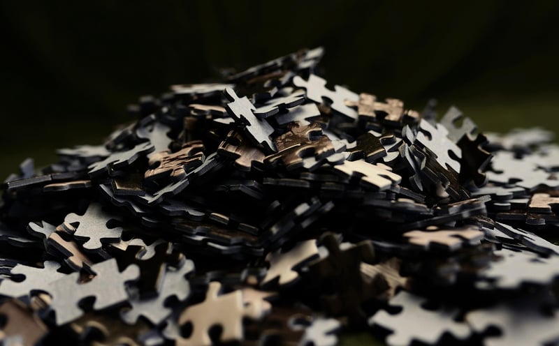 Professional Growth Puzzle